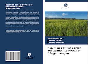 Reaktion der Tef-Sorten auf gemischte NPSZnB-Düngermengen