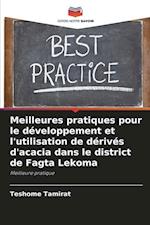 Meilleures pratiques pour le développement et l'utilisation de dérivés d'acacia dans le district de Fagta Lekoma