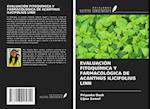 EVALUACIÓN FITOQUÍMICA Y FARMACOLÓGICA DE ACANTHUS ILICIFOLIUS LINN