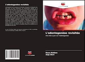 L'odontogenèse revisitée