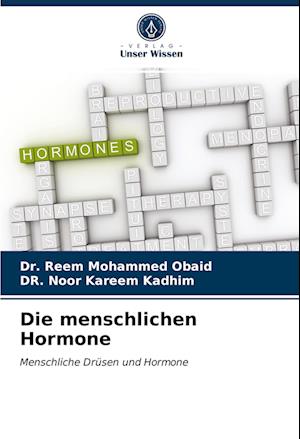 Die menschlichen Hormone