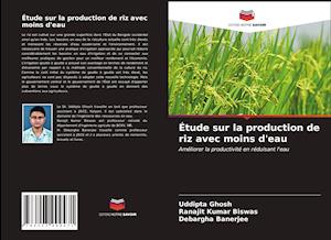 Étude sur la production de riz avec moins d'eau