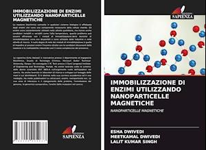 IMMOBILIZZAZIONE DI ENZIMI UTILIZZANDO NANOPARTICELLE MAGNETICHE