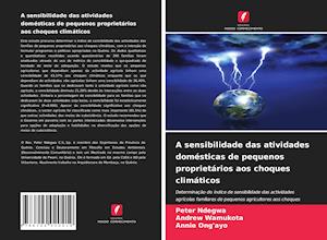 A sensibilidade das atividades domésticas de pequenos proprietários aos choques climáticos