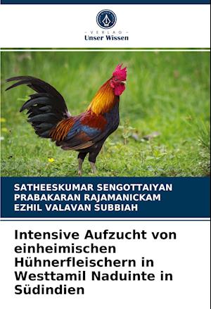 Intensive Aufzucht von einheimischen Hühnerfleischern in Westtamil Naduinte in Südindien