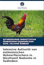 Intensive Aufzucht von einheimischen Hühnerfleischern in Westtamil Naduinte in Südindien