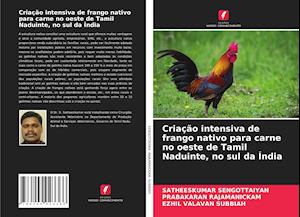 Criação intensiva de frango nativo para carne no oeste de Tamil Naduinte, no sul da Índia