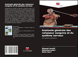 Anatomie générale des vaisseaux sanguins et du système nerveux