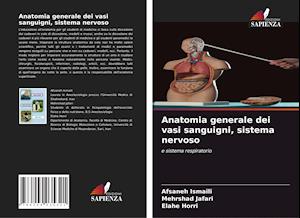 Anatomia generale dei vasi sanguigni, sistema nervoso