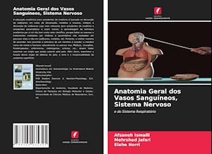 Anatomia Geral dos Vasos Sanguíneos, Sistema Nervoso