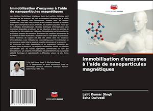 Immobilisation d'enzymes à l'aide de nanoparticules magnétiques