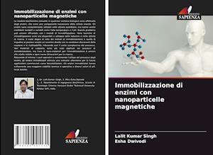 Immobilizzazione di enzimi con nanoparticelle magnetiche