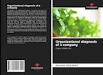 Organizational diagnosis of a company