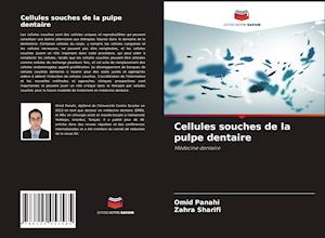 Cellules souches de la pulpe dentaire