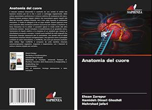 Anatomia del cuore