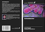 Acinetobacter