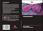 Acinetobacter