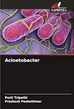 Acinetobacter