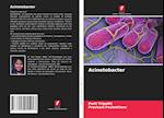 Acinetobacter