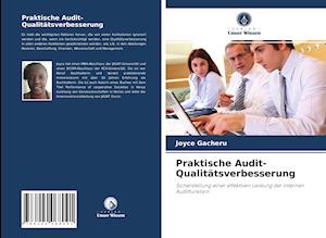 Praktische Audit-Qualitätsverbesserung