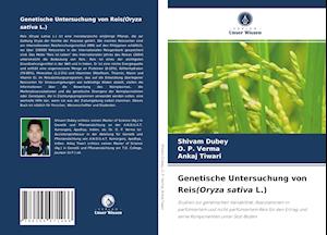 Genetische Untersuchung von Reis(Oryza sativa L.)