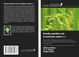 Estudio genético del arroz(Oryza sativa L.)