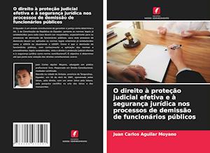 O direito à proteção judicial efetiva e à segurança jurídica nos processos de demissão de funcionários públicos