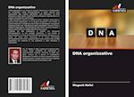 DNA organizzativo