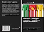 Pequeñas y medianas empresas y creación de empleo en Camerún