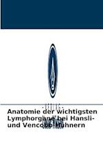 Anatomie der wichtigsten Lymphorgane bei Hansli- und Vencobb-Hühnern