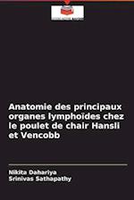 Anatomie des principaux organes lymphoïdes chez le poulet de chair Hansli et Vencobb