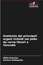 Anatomia dei principali organi linfoidi nel pollo da carne Hansli e Vencobb