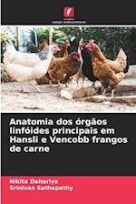 Anatomia dos órgãos linfóides principais em Hansli e Vencobb frangos de carne