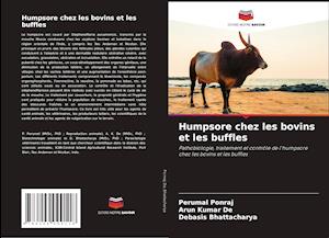 Humpsore chez les bovins et les buffles