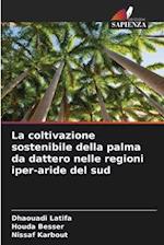 La coltivazione sostenibile della palma da dattero nelle regioni iper-aride del sud