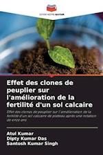 Effet des clones de peuplier sur l'amélioration de la fertilité d'un sol calcaire