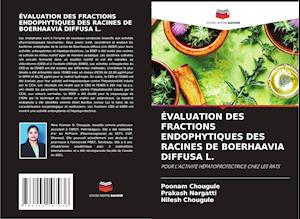 ÉVALUATION DES FRACTIONS ENDOPHYTIQUES DES RACINES DE BOERHAAVIA DIFFUSA L.