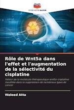 Rôle de Wnt5a dans l'effet et l'augmentation de la sélectivité du cisplatine