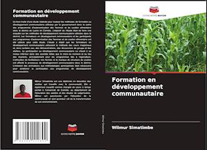 Formation en développement communautaire