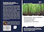 Mangrowye lesa: wazhnaq äkosistema dlq podderzhaniq prirodnogo balansa