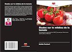 Études sur le mildiou de la tomate