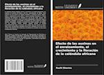 Efecto de las auxinas en el enraizamiento, el crecimiento y la floración de la caléndula africana