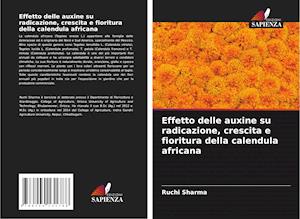 Effetto delle auxine su radicazione, crescita e fioritura della calendula africana