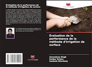 Évaluation de la performance de la méthode d'irrigation de surface