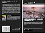 NECESIDADES DE AGUA DE LA CEBOLLA