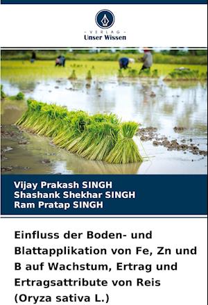 Einfluss der Boden- und Blattapplikation von Fe, Zn und B auf Wachstum, Ertrag und Ertragsattribute von Reis (Oryza sativa L.)