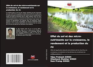 Effet du sol et des micro-nutriments sur la croissance, le rendement et la production du riz