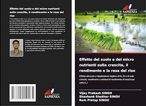 Effetto del suolo e dei micro nutrienti sulla crescita, il rendimento e la resa del riso