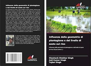 Influenza della geometria di piantagione e del livello di azoto sul riso