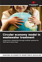 Circular economy model in wastewater treatment